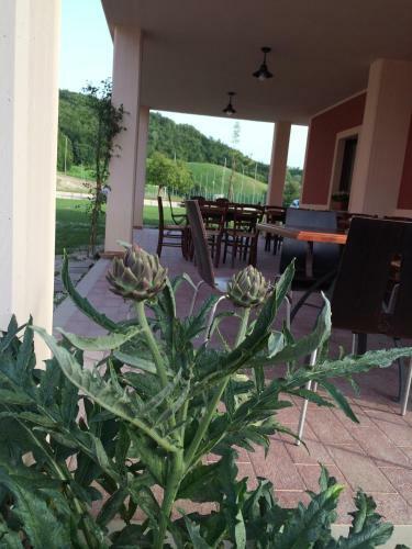Agroturismo Agriturismo La Vita � Bella