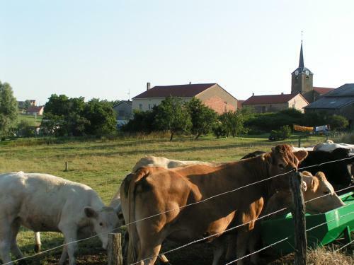 Bed & Breakfast Chambres D'h�tes Au Presbyt�re