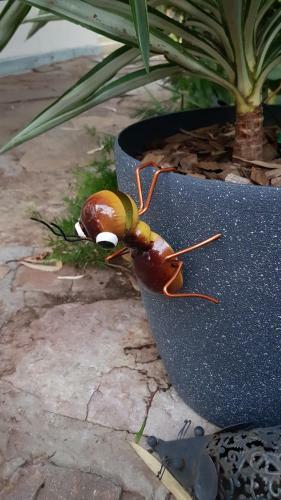 Albergue Alice's Secret Travellers Inn