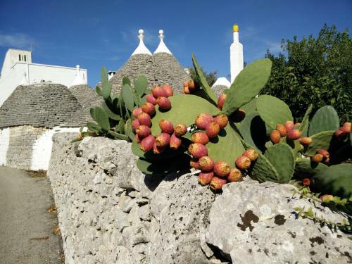 Bed & Breakfast La Collinetta