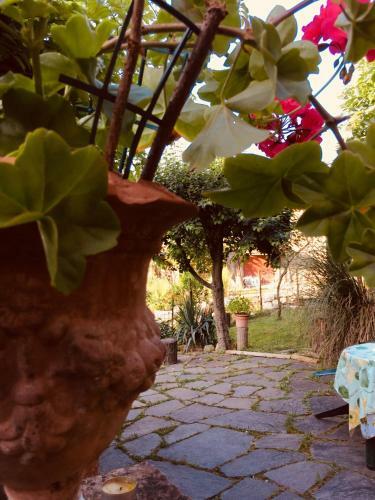 Apartamento Molino Dei Preti
