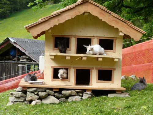 Apartamento Schieplechnerhof