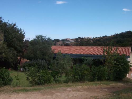 Agroturismo L'ulivo