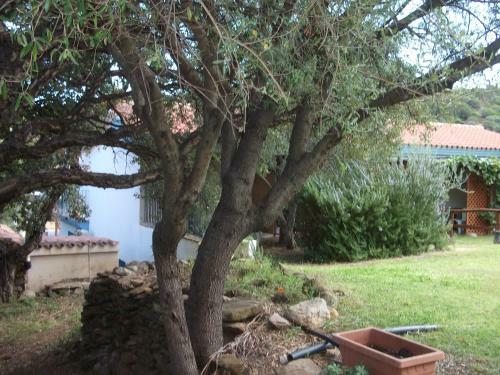 Agroturismo L'ulivo