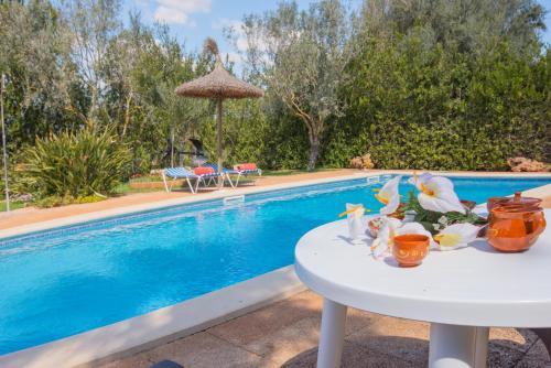 Villa Vicens
