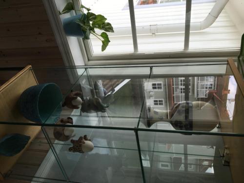 Albergue Grebbestads Vandrarhem