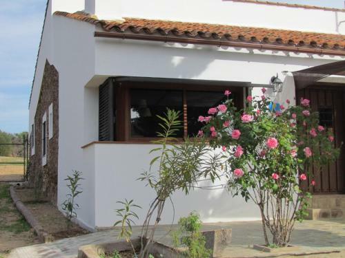 Agroturismo Finca Valle Corchoso