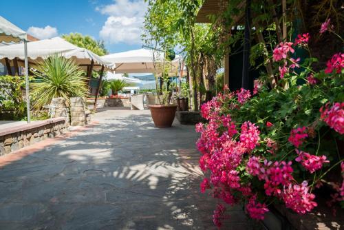 Agroturismo Il Nido Country House
