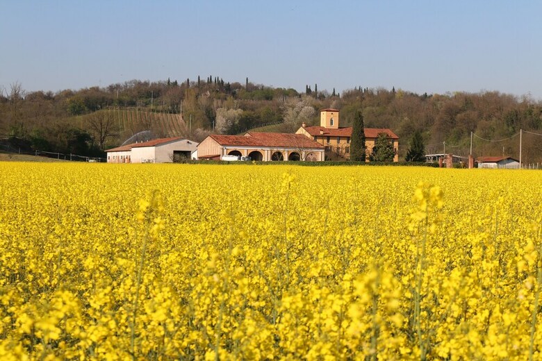 Agroturismo Tenuta Le Sorgive Agriturismo