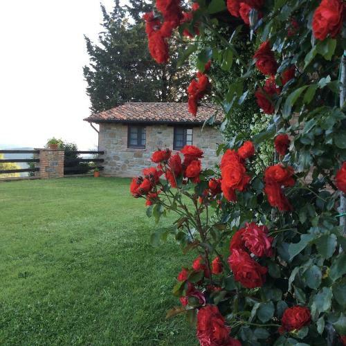 Apartamento Agriturismo La Bicocca - Apt L'olivo