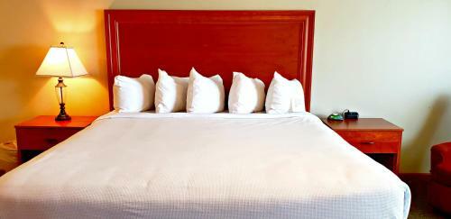 Hotel Zinck's Inn Berlin