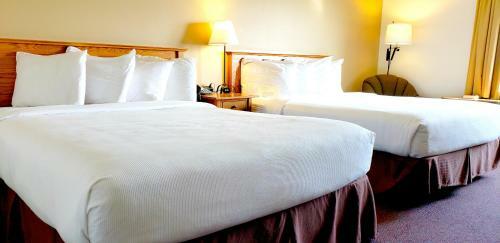 Hotel Zinck's Inn Berlin