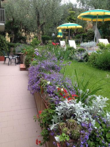 Hotel Casa Popi