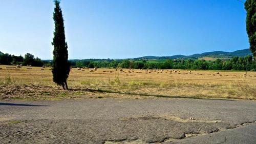 Apartamento Appartamento Old England In Chianti