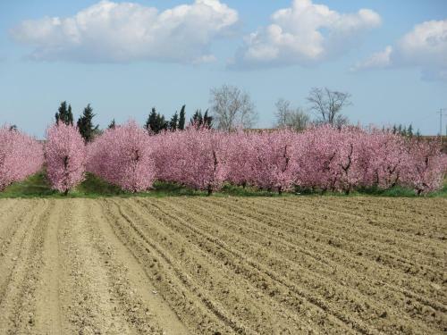 Agroturismo La Fornasaccia