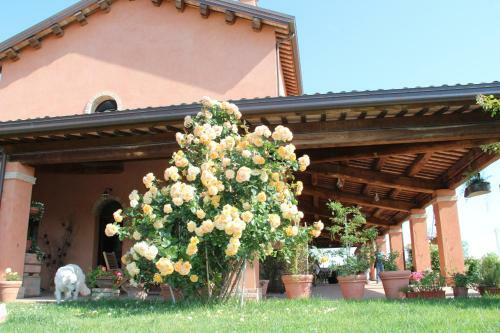 Agroturismo La Fornasaccia