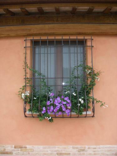 Agroturismo La Fornasaccia