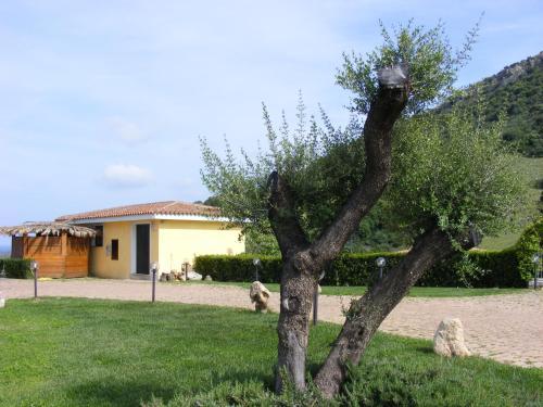 Agroturismo Agriturismo Su Vrau