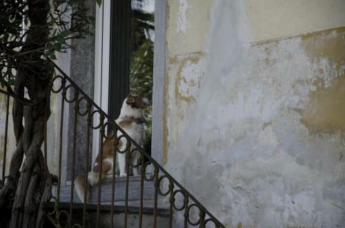 B&B Villa Moro