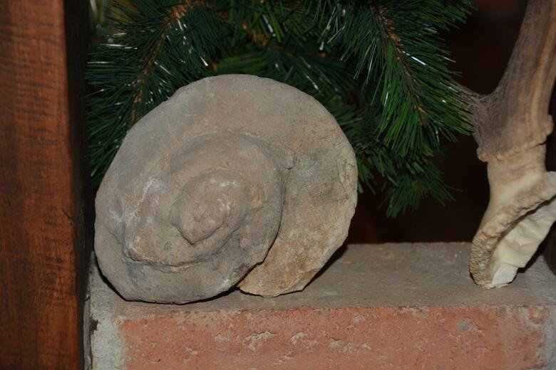 La Orospeda