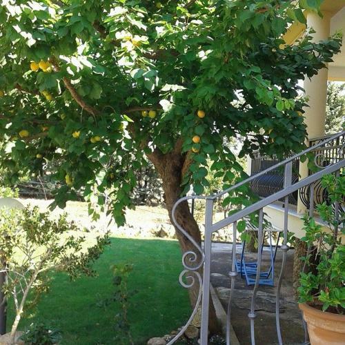 Anna Rita Alghero B&B