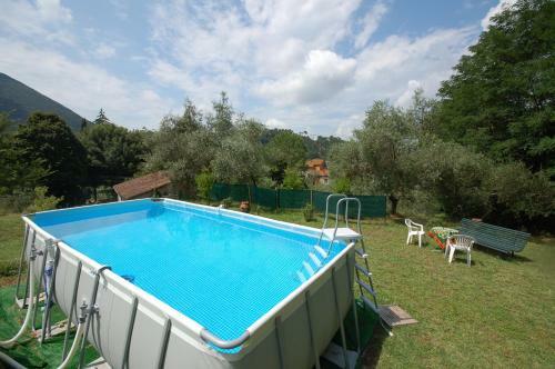 Al Laino