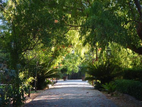 Agroturismo Finca Cas Sant
