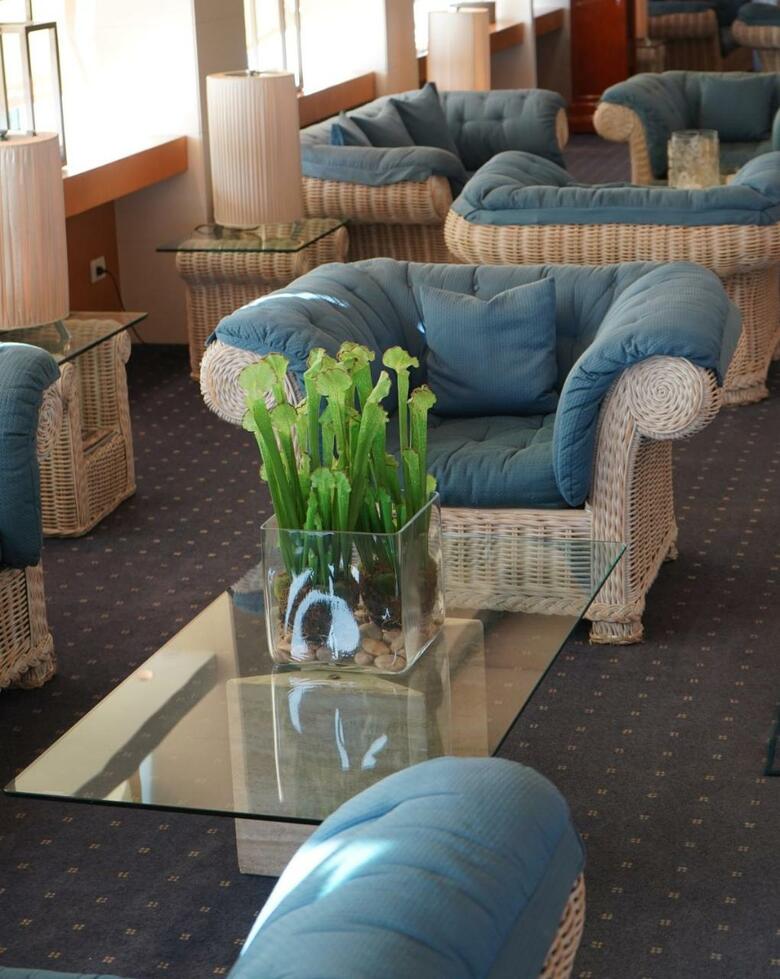Hotel Lungomare