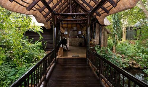 Hostal Zululand Tree Lodge