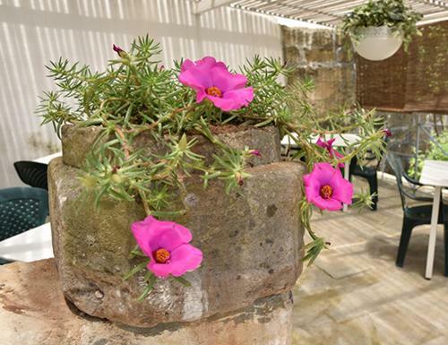 Hostal Nonno Uccio