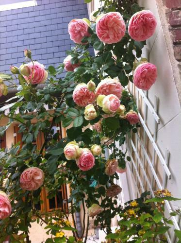 Bed & Breakfast Le Mascaret