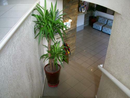 Hotel Plage Des Pins