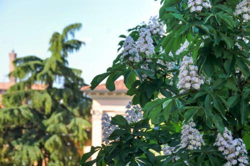 B&B Al Parco Giardini Margherita