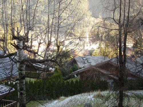Apartamento Studio Les Drus/studio Du Brevent