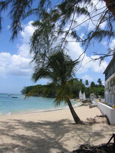 Hotel Discovery Bay By Rex Resorts