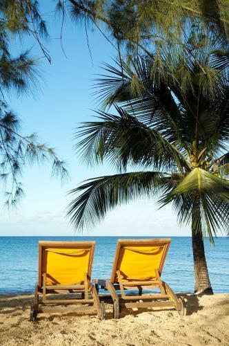 Hotel Discovery Bay By Rex Resorts