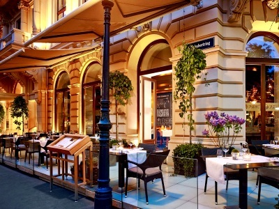 Hotel The Ritz-carlton Vienna