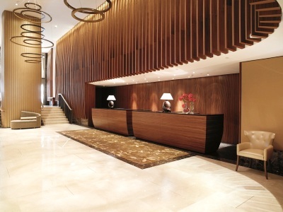 Hotel The Ritz-carlton Vienna