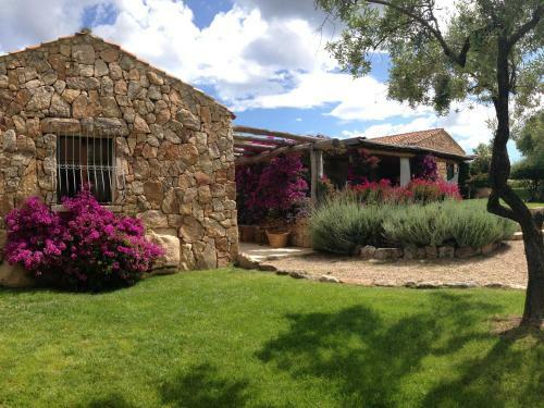 Bed & Breakfast Albero Capovolto