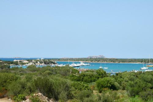 Apartamento Appartamenti Residence Vela Blu Golfo Aranci