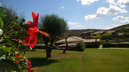 Hotel Guest House Vela Blu