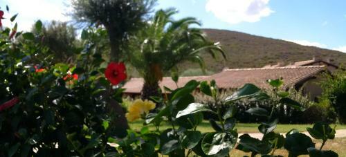 Hotel Guest House Vela Blu