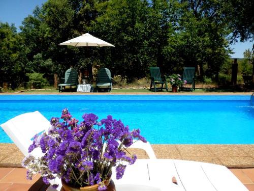 Agroturismo Finca La Viri�uela
