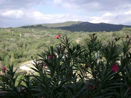 Agroturismo La Era De Casa Capellan