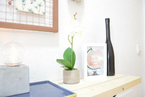 Apartamento Aloja Dreams