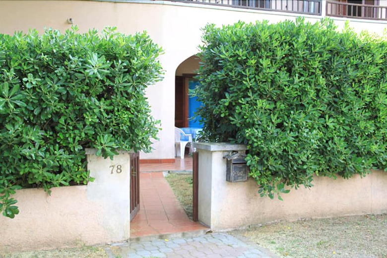 Apartamento Vecchio Ulivo