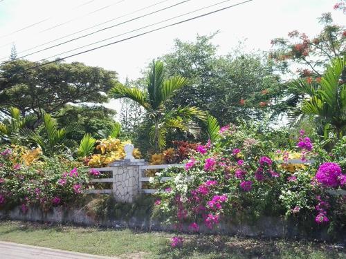 Apartamento Dreamy Haven