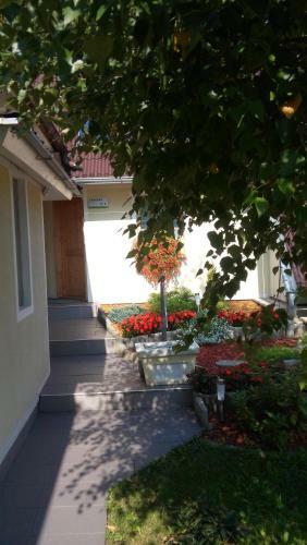 Apartamento Studio Lipa