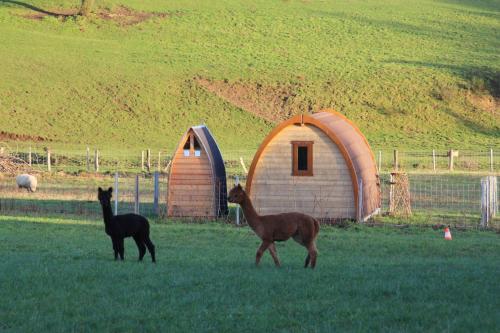 Agroturismo La Ferme D'a Yaaz