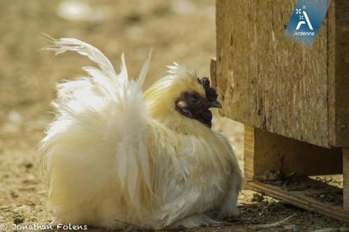 Agroturismo La Ferme D'a Yaaz